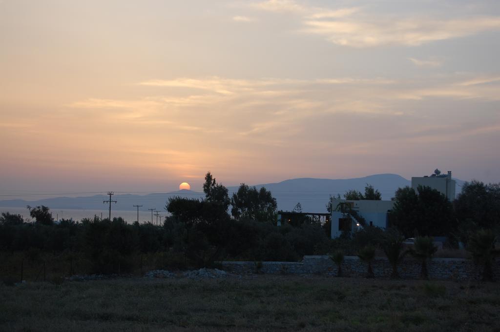 Scala Apartments Kastraki (Naxos) Exterior foto
