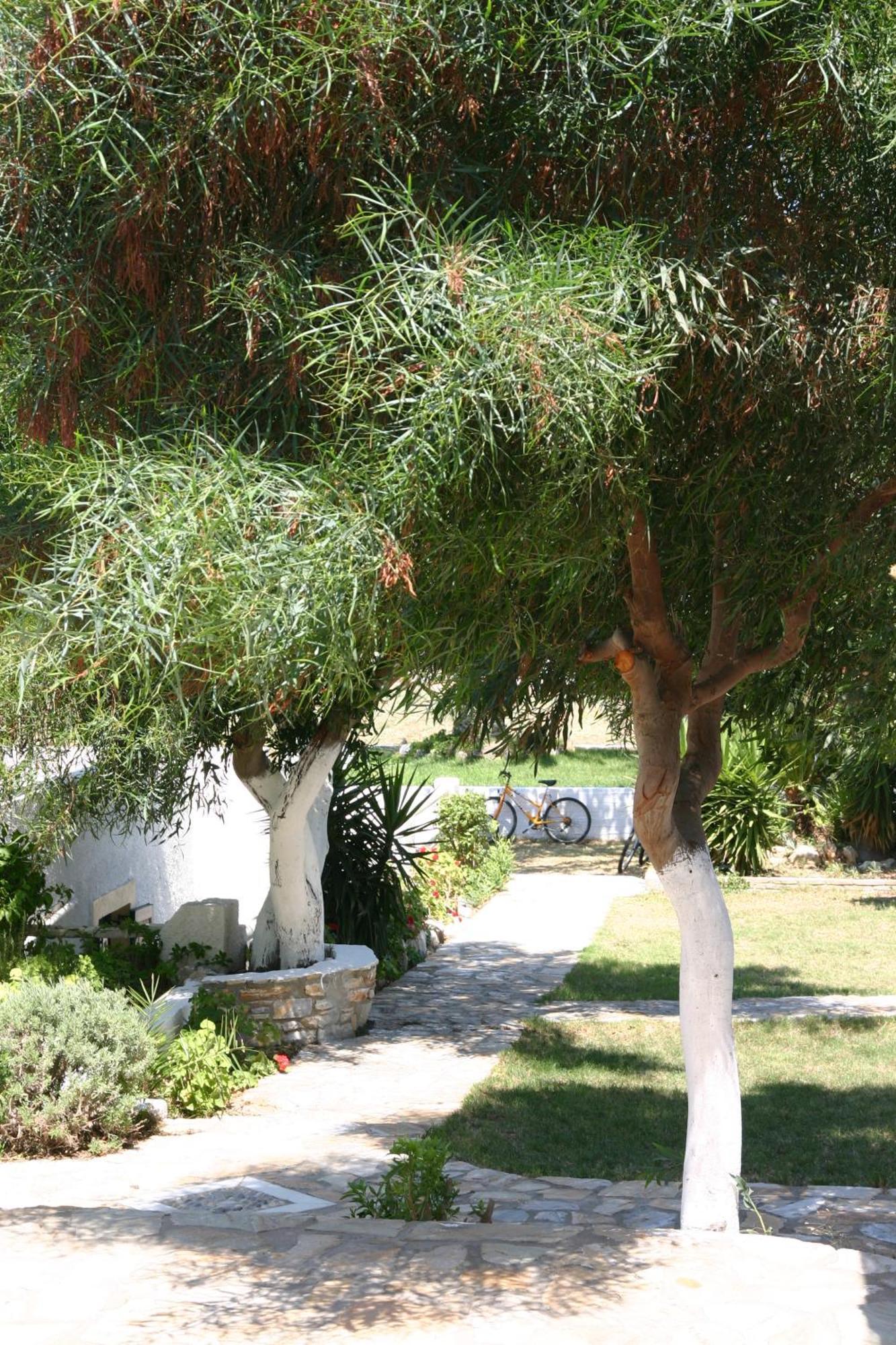 Scala Apartments Kastraki (Naxos) Exterior foto