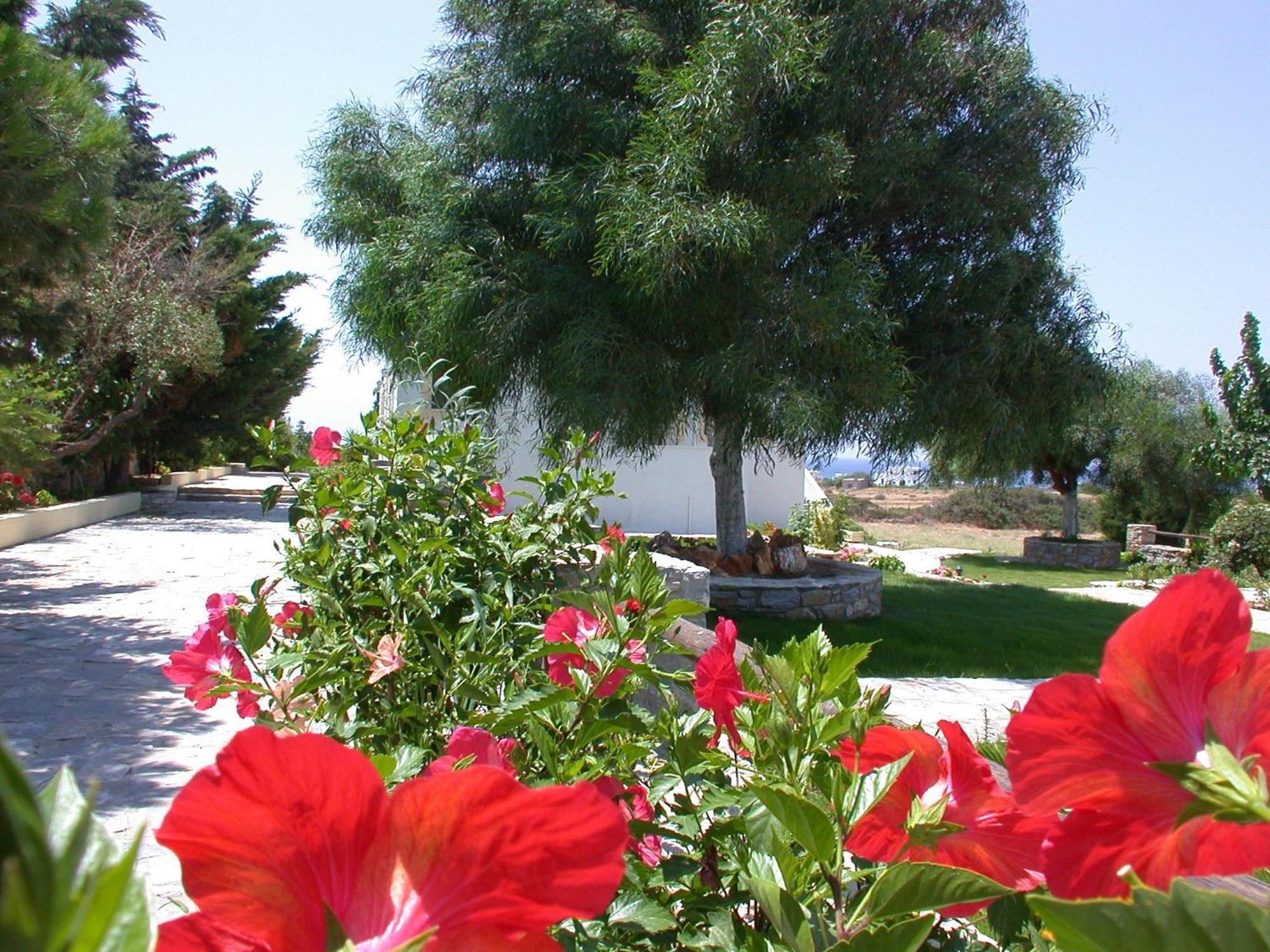 Scala Apartments Kastraki (Naxos) Exterior foto